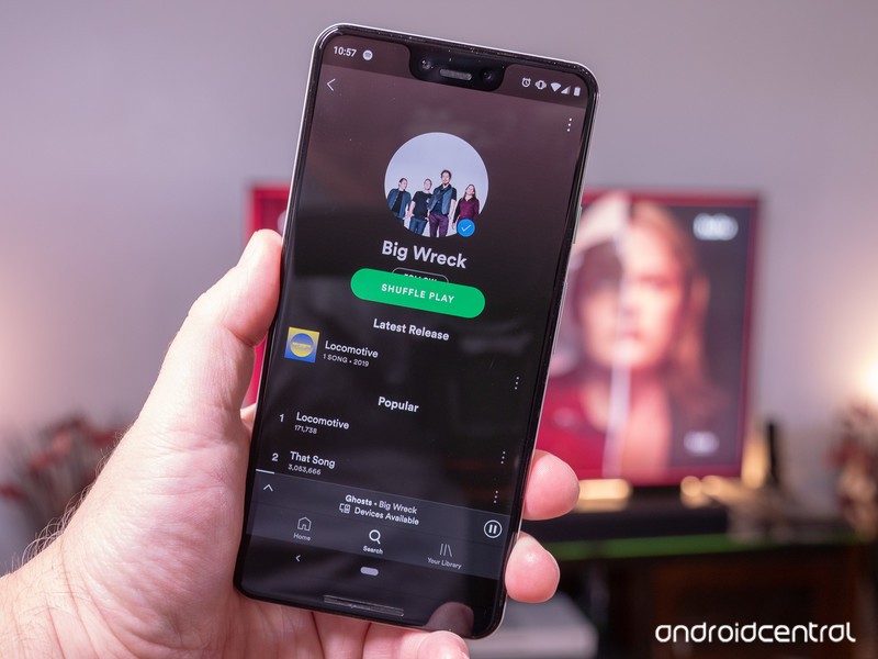Does the free spotify app use data